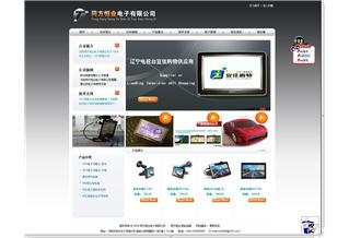 從需求到體驗(yàn) 沈陽(yáng)某專(zhuān)業(yè)服務(wù)公司的網(wǎng)站建設(shè)全案解析